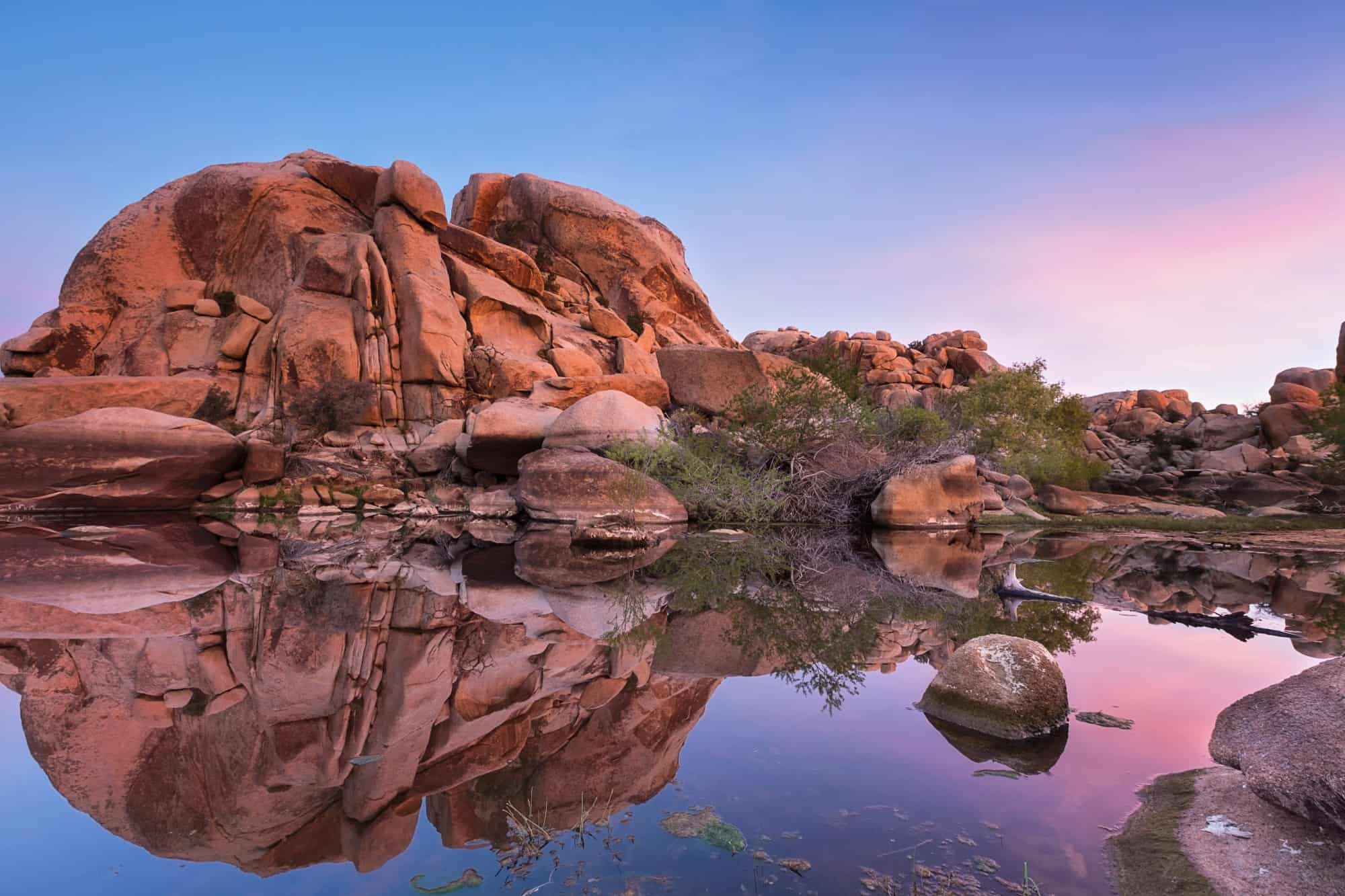 The Best Things to do in Joshua Tree with Kids on a Family Vacation