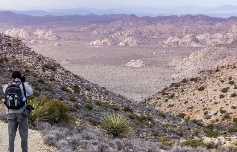 The view from Ryan Mountain in Joshua Tree National Park