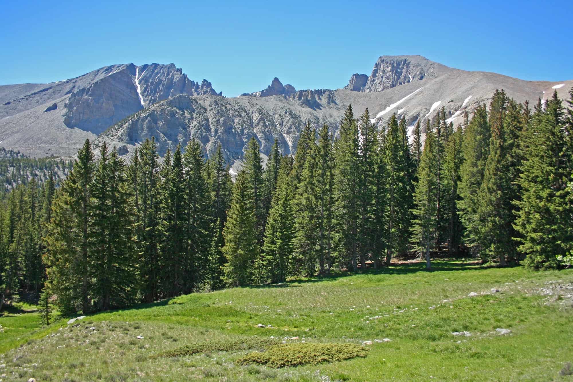 The Best Things To Do In Great Basin National Park