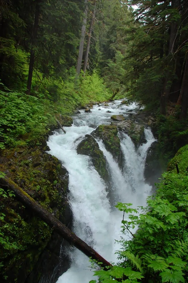 The hike to Sol Duc falls is a highlight of visiting Olympic National Park with kids. 