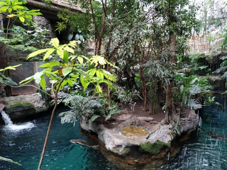 things to do in Dallas with kids, Dallas World Aquarium