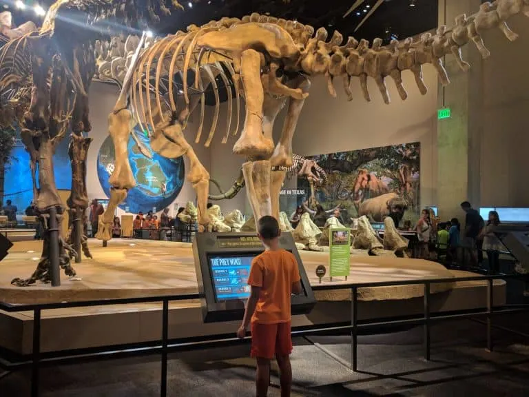 things to do in Dallas with kids, Perot Museum of Nature and Science