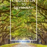Family-Friendly Road Trip Charleston SC to Savannah GA 1