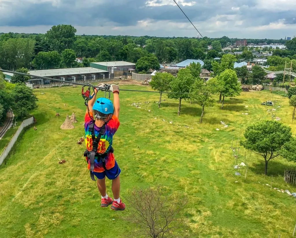 Things to Do in Toledo with Kids – Zip line at the Toledo Zoo