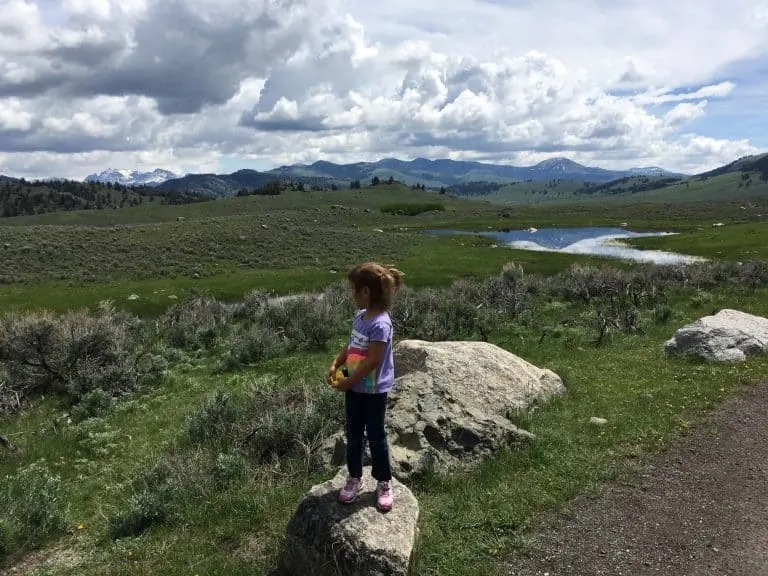 yellowstone camping lamar valley