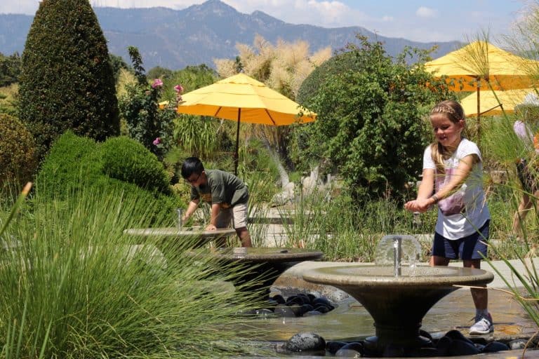 Things to do in Pasadena Things-to-do-in-Pasadena-Huntington-Library-Childrens-Garden-Michelle-McCoy