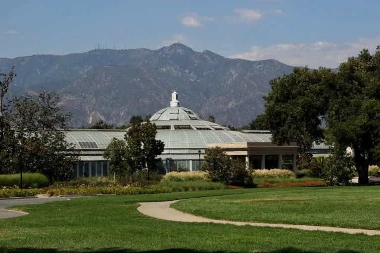 Things to do in Pasadena Things-to-do-in-Pasadena-Huntington-Library-Michelle-McCoy