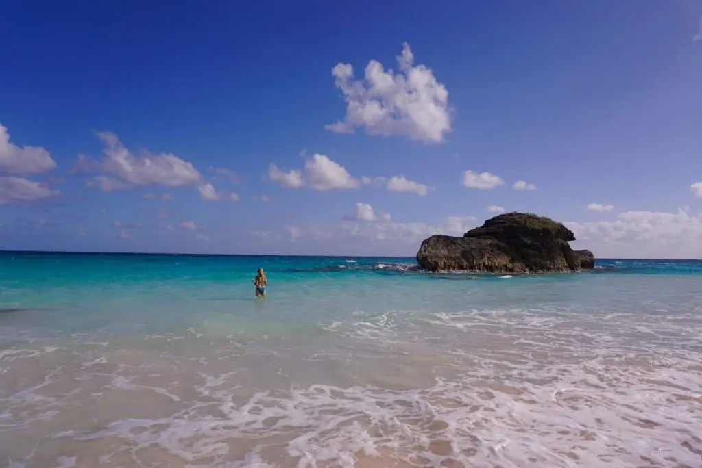 Pink Sand Horseshoe bay in Bermuda Island