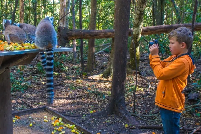 South African Safari with Kids