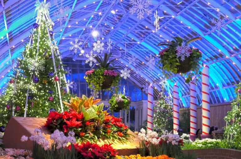 Pittsburgh Christmas events at the Phipps Conservatory