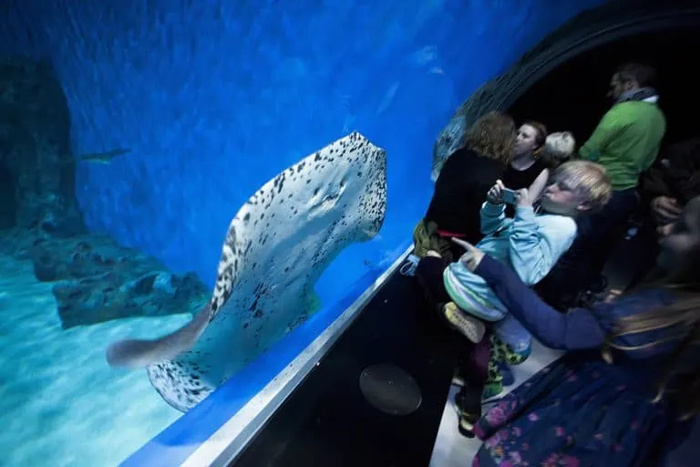 Den-Bla-Planet Aquarium