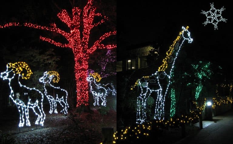Christmas in Houston light displays