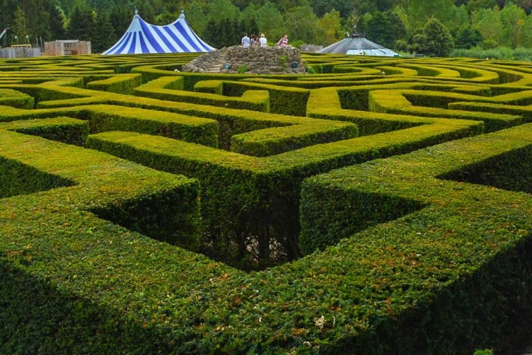 Hedgemaze at Leeds Castle