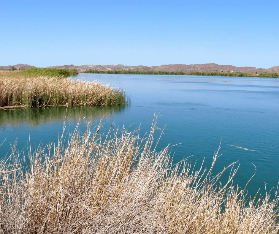 things to do in Yuma include visiting the Colorado River