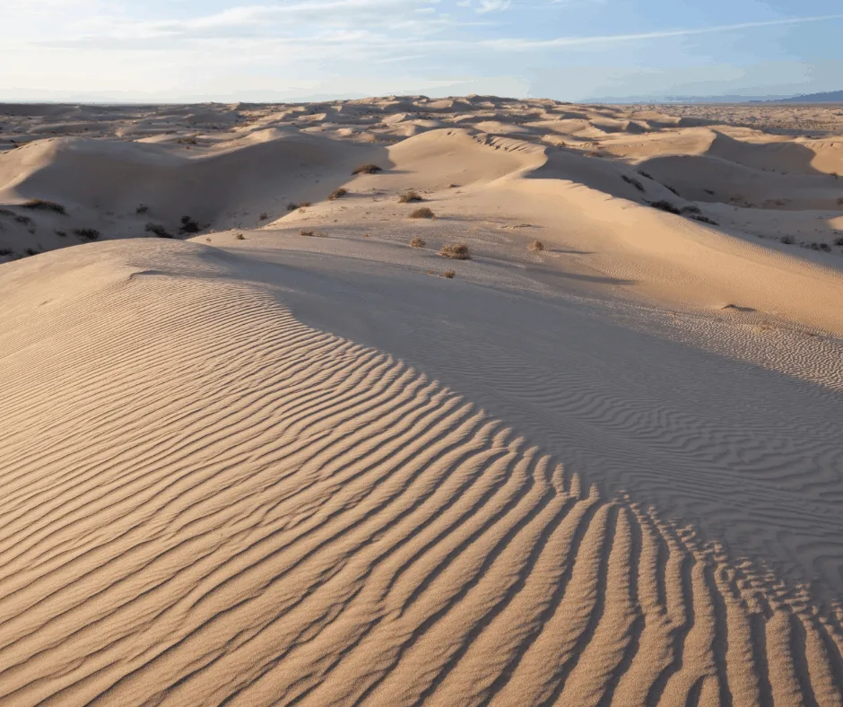 The Imperial Sand Dunes are just a day trip away from major cities, yet  it's like being on a different planet - Roadtrippers