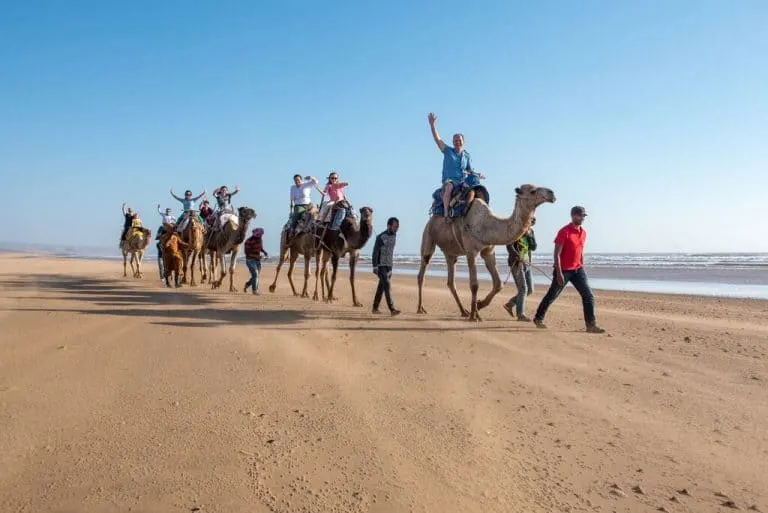 Travel to Morocco family tour camels