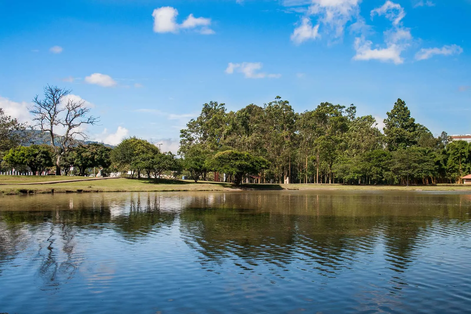 San Jose Costa Rica Sabana Park