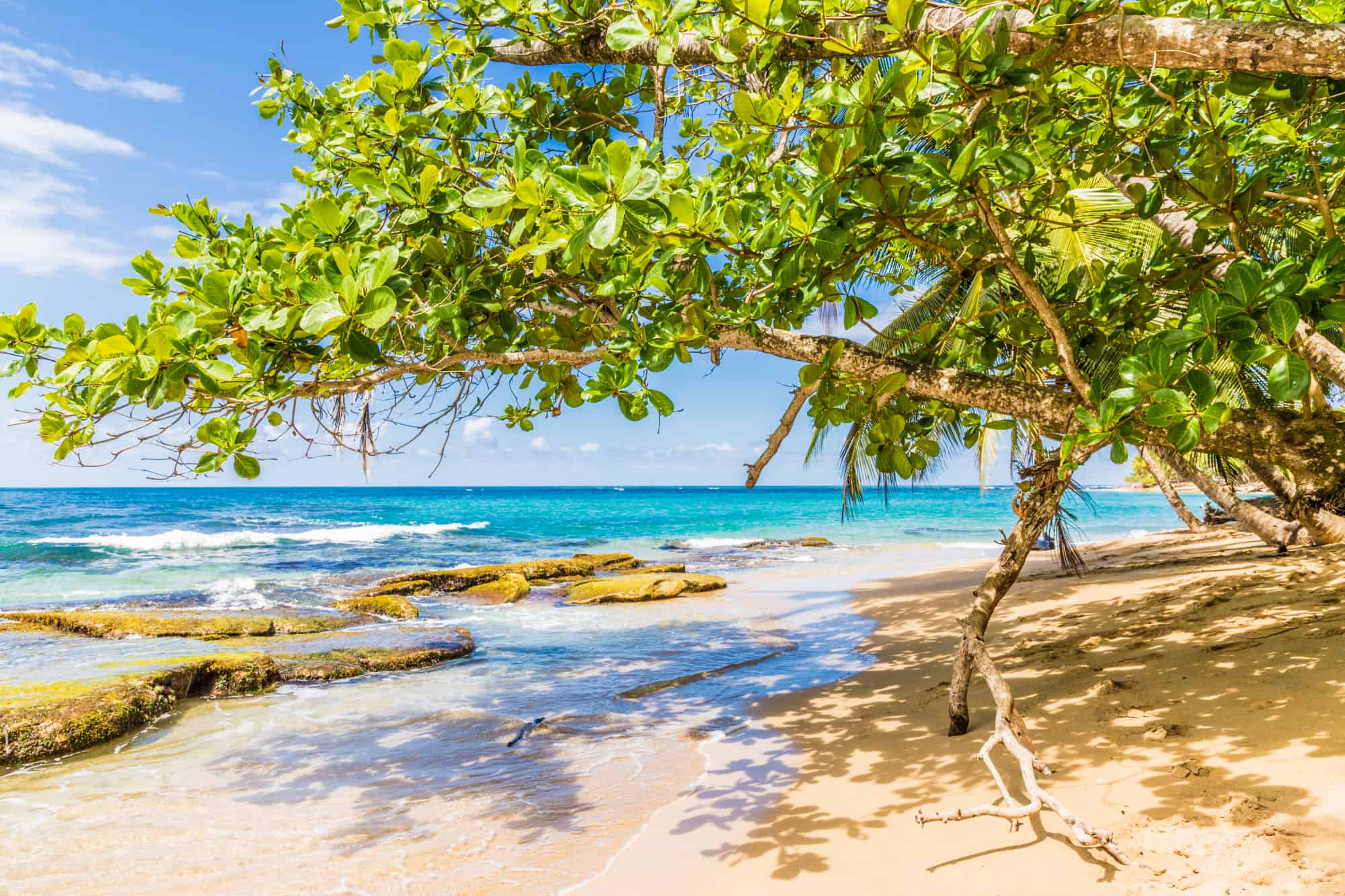 Costa Rica Beaches: Finding the Best Beaches in Costa Rica for Families