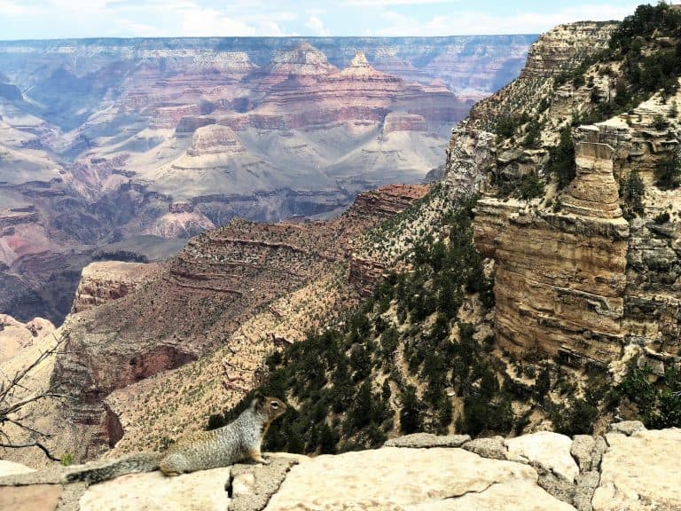 Things to do in the Grand Canyon with kids