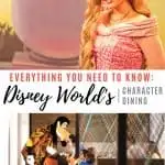Disney World Character Dining- Everything You Need to Know 1