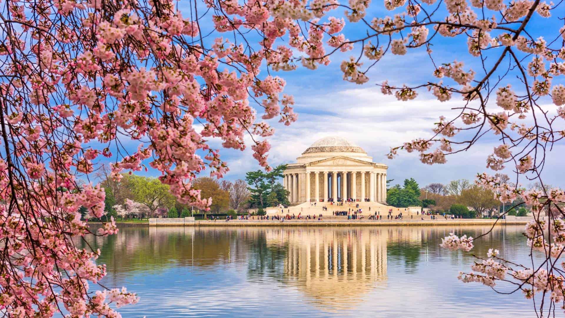 10 Best Things To Do In Washington DC With Kids