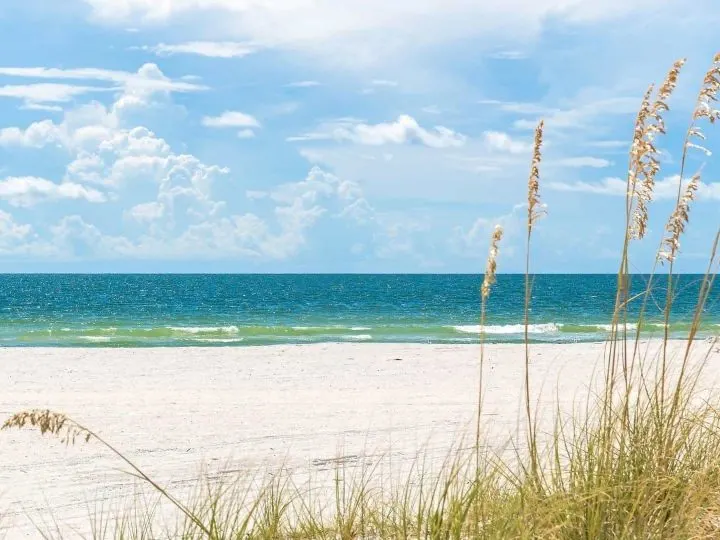Things to do in St Pete Beach