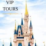Disney Vip Tours