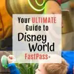 Disney world fastpass