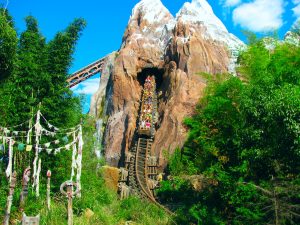 The 20 Best Rides at Disney World in 2025