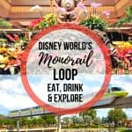 Exploring the Disney World hotels on Monorail Route 1