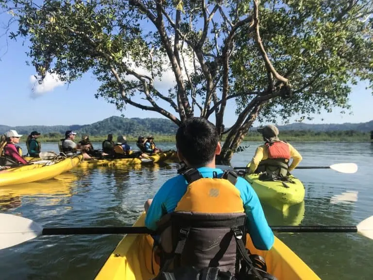 Osa Peninsula Rio Esquinas Kayaking through Mangrove Forest