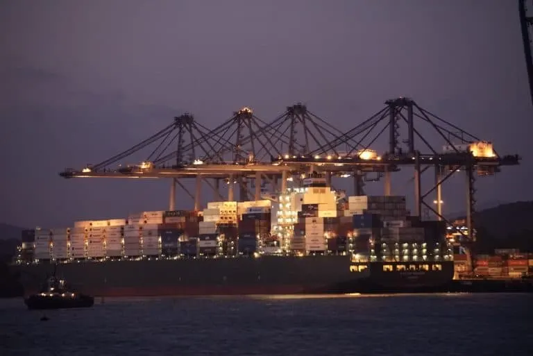 Panama Canal Cruise Cargo Giraffe Cranes at Miraflores