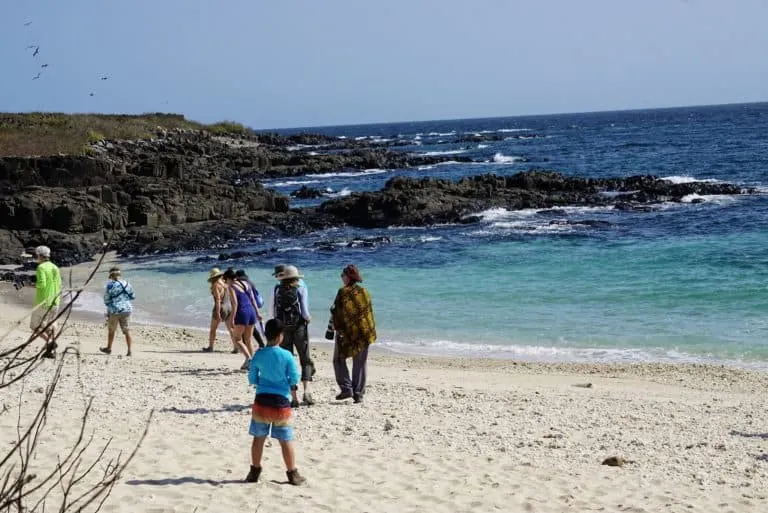 Panama Cruise Iguana Island Frigate bird hike