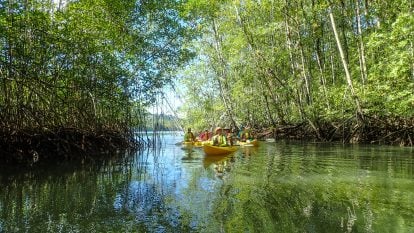 Panama and Costa Rica Cruise with Uncruise Adventures - Trekaroo Family ...