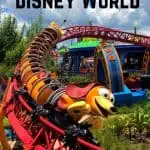 The Ultimate Disney World Ride Guide