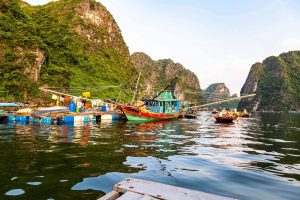 Vietnam Tour Halong Bay Tour