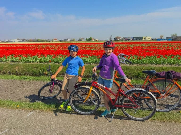 Day Trips from Amsterdam Tulip Fields Netherlands