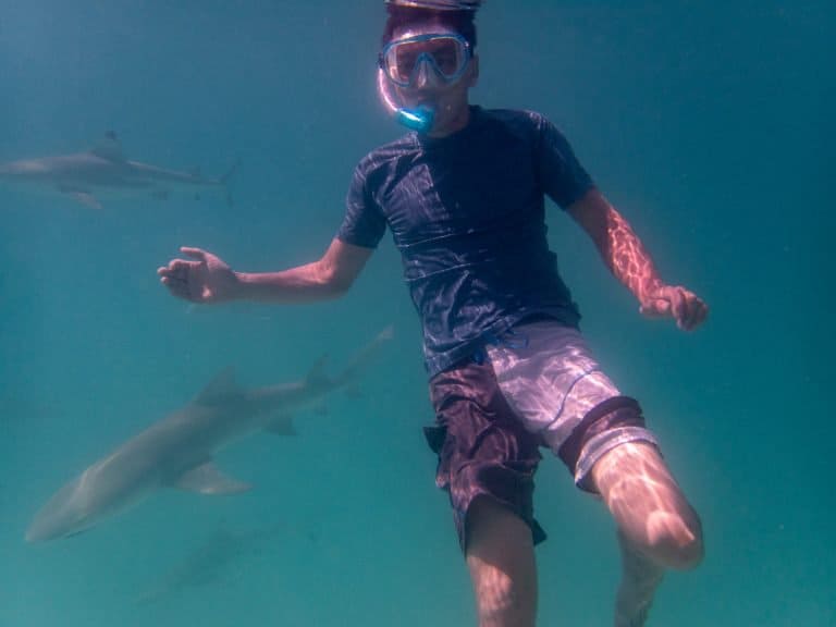 Snorkeling in Rangiroa, Tahiti with lemon sharks