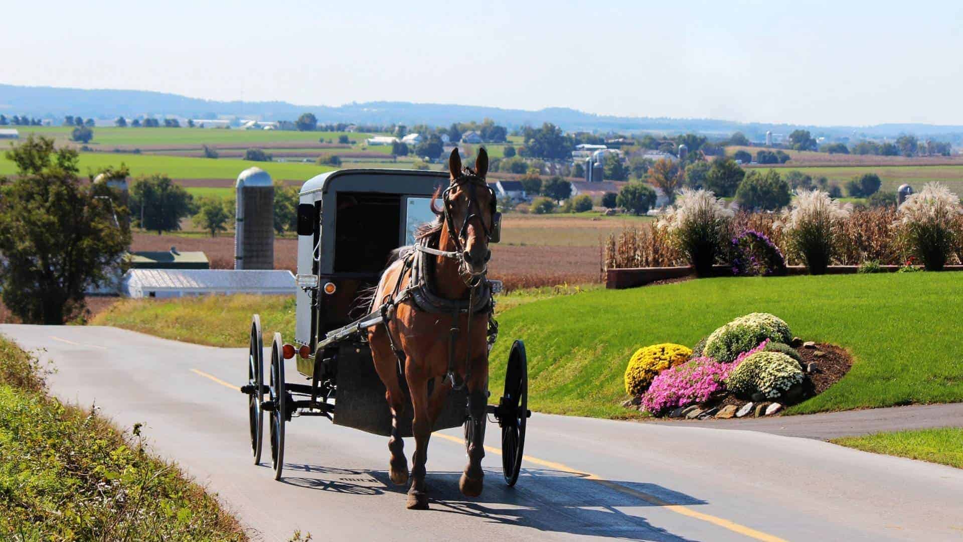 Top 10 Fun Things To Do In Pennsylvania With Kids