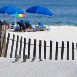 The 10 Best Things to do in Gulf Shores with kids!