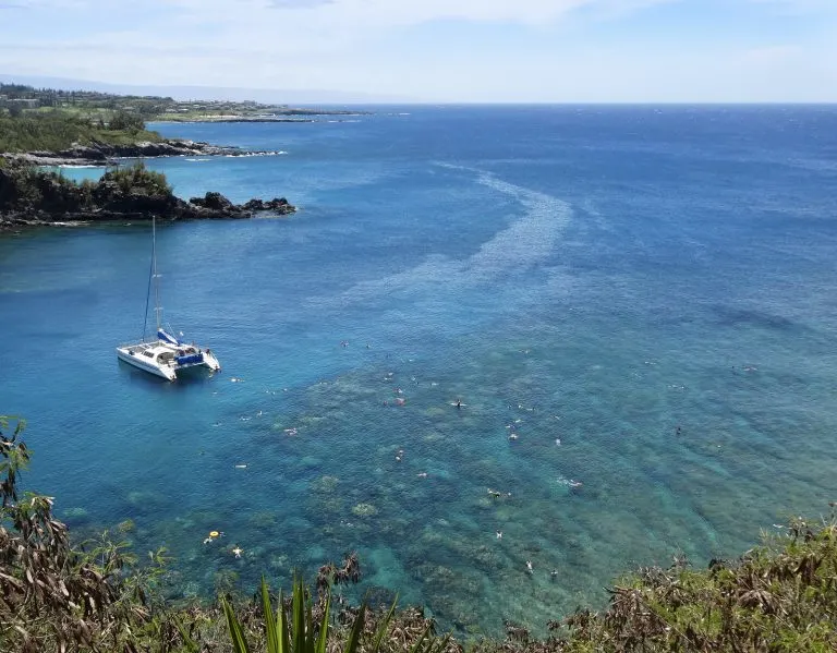 Honolua Bay 