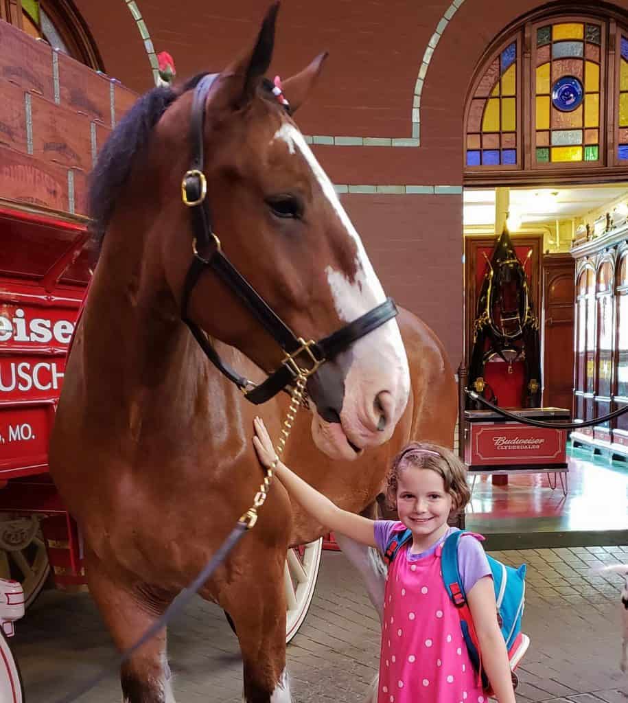Kids will love the Clydesdale horses on the Brewery Tour