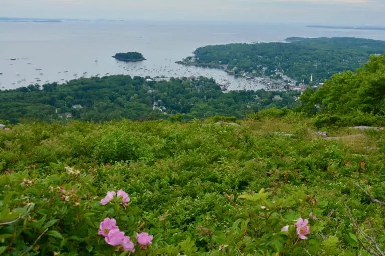 Maine Road Trip stop at Mount Battie 