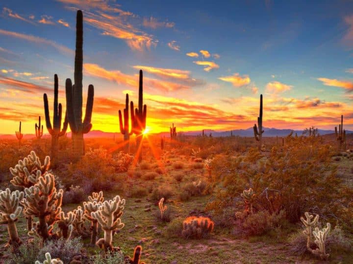 things to do in Arizona with kids