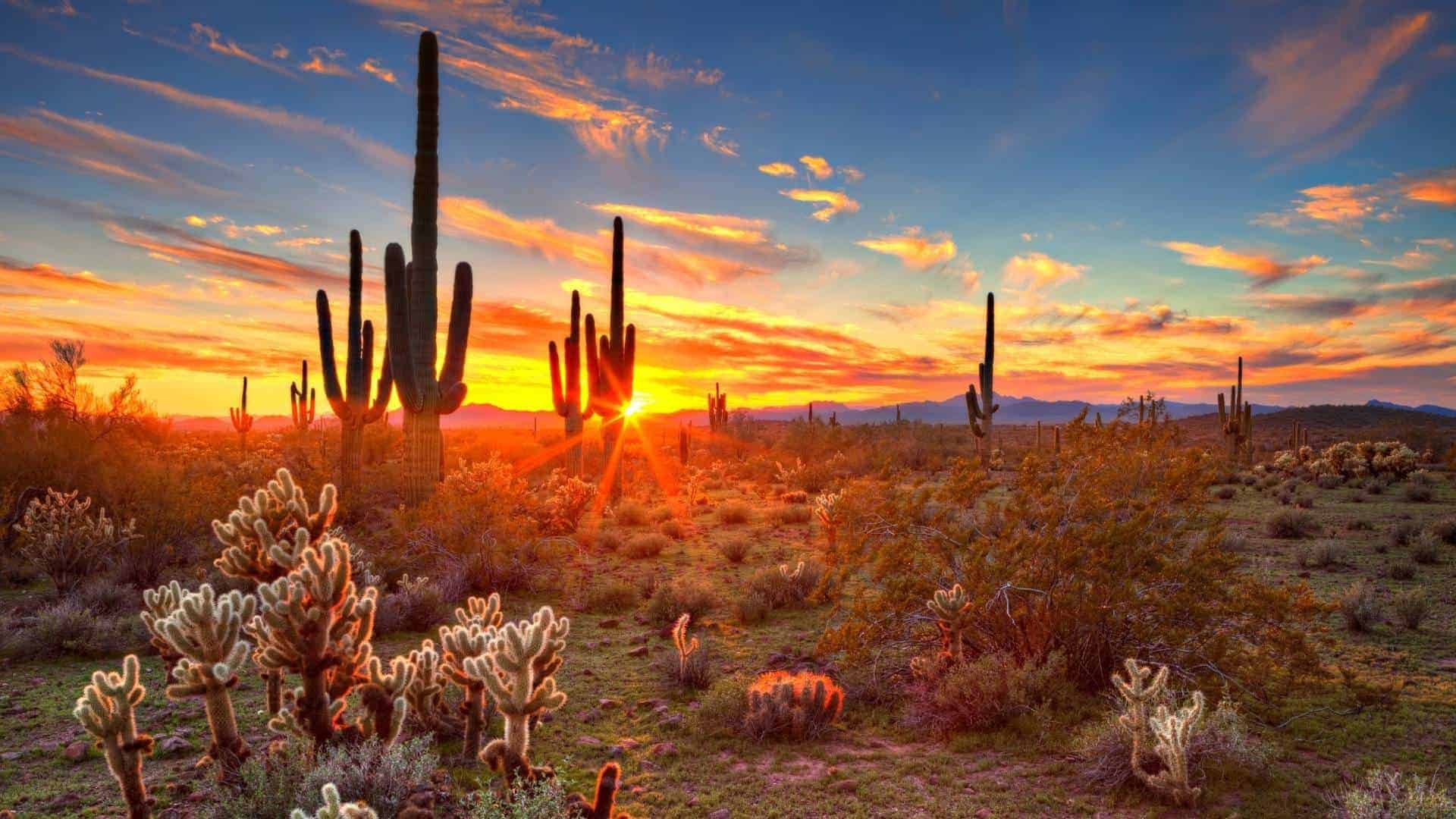 over-30-of-the-best-things-to-do-in-arizona-with-kids-family-fun-in