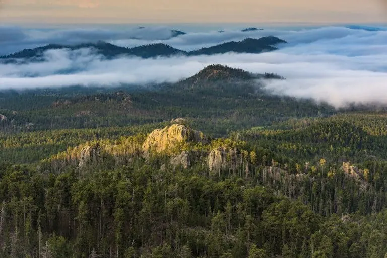Custer State Park is one of the most amazing places to visit in South Dakota