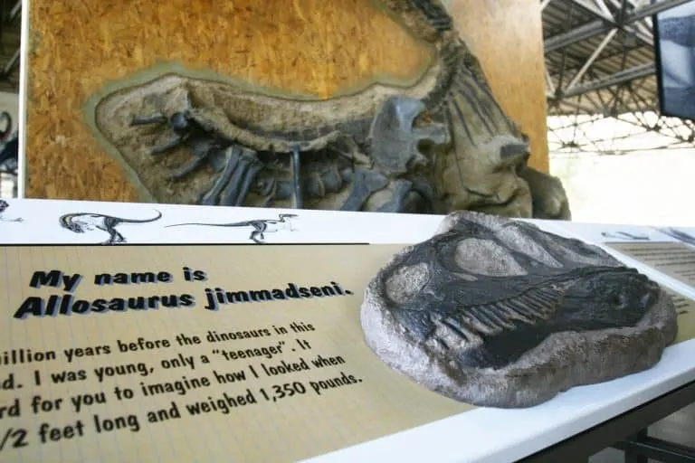 Fossils are the big draw at Dinosaur National Monument, one of the best places to visit in Colorado