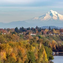 20 Cool Things to do in Portland with Kids
