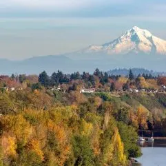 20 Cool Things to do in Portland with Kids