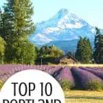 10 Fun Things to do in Portland with kids! 1